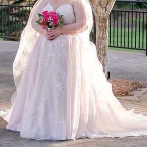 Essence of Australia wedding gown and veil.